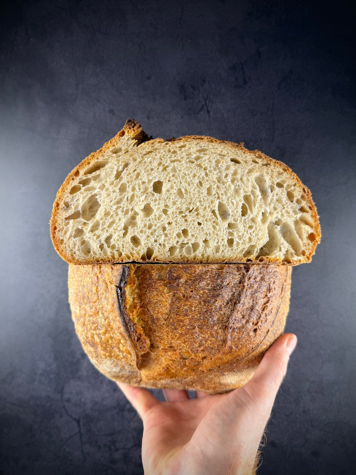 Münchner Brot-Tasting in der Maxvorstadt